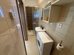 Pronájem bytu 1+kk, Brno, Francouzská, 40 m2