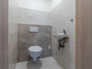 Prodej rodinného domu, Brandýsek, Nad Vodojemem, 190 m2