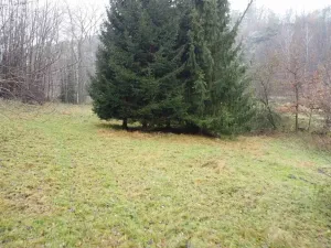 Dražba louky, Světlá nad Sázavou, 8621 m2