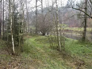 Dražba louky, Světlá nad Sázavou, 8621 m2