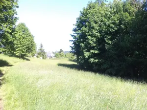 Dražba pozemku pro bydlení, Staré Křečany, 1188 m2