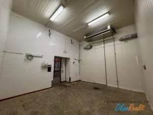 Pronájem skladu, Přerov - Přerov I-Město, Tovačovská, 200 m2