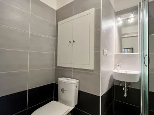 Pronájem bytu 1+kk, Ostrava - Slezská Ostrava, Bohumínská, 27 m2
