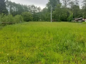 Pronájem ubytování, Písařov - Bukovice, 520 m2