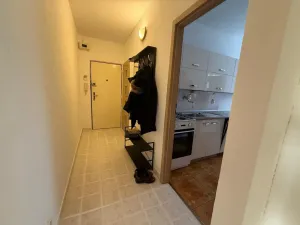 Pronájem bytu 2+1, Židlochovice, 56 m2