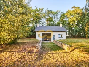 Prodej rodinného domu, Dobev - Malé Nepodřice, 288 m2