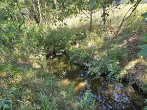 Prodej pozemku pro bydlení, Nová Cerekev - Chmelná, 982 m2