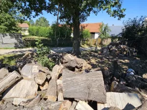 Prodej pozemku pro bydlení, Nová Cerekev - Chmelná, 982 m2