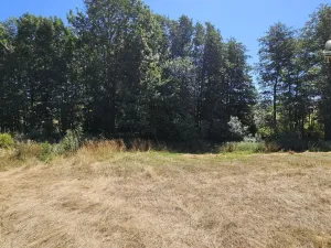 Prodej pozemku pro bydlení, Nová Cerekev - Chmelná, 982 m2
