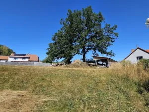 Prodej pozemku pro bydlení, Nová Cerekev - Chmelná, 982 m2