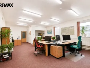 Pronájem výrobních prostor, Třebechovice pod Orebem, Týnišťská, 600 m2