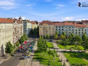 Prodej bytu 2+1, Praha - Vinohrady, Řipská, 87 m2