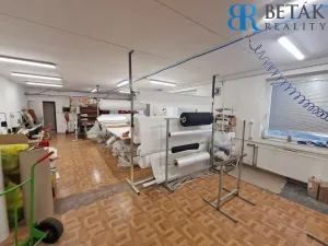 Prodej obchodního prostoru, Horní Moštěnice, 9. května, 1200 m2