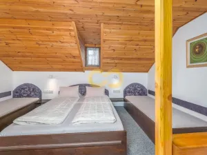 Prodej ubytování, Český Krumlov, Rooseveltova, 391 m2