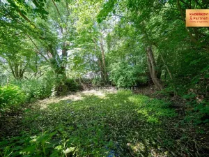 Prodej pozemku pro bydlení, Březina, 2911 m2