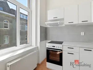 Pronájem bytu 1+kk, Děčín - Děčín II-Nové Město, Příkrá, 42 m2