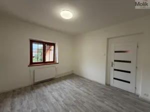 Pronájem vícegeneračního domu, Ústí nad Labem - Svádov, 28. října, 110 m2