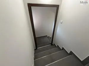 Pronájem vícegeneračního domu, Ústí nad Labem - Svádov, 28. října, 110 m2