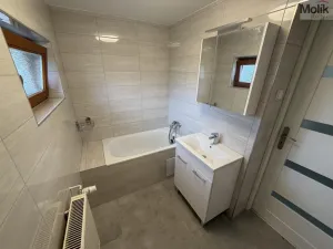 Pronájem vícegeneračního domu, Ústí nad Labem - Svádov, 28. října, 110 m2