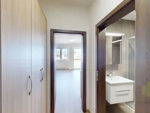 Pronájem bytu 1+kk, Olomouc, Wolkerova, 30 m2