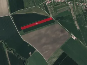 Prodej pole, Lipov, 40750 m2