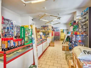 Prodej obchodního prostoru, Doksy, Panská, 270 m2