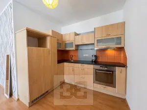 Pronájem bytu 1+kk, České Budějovice, Lipenská, 33 m2