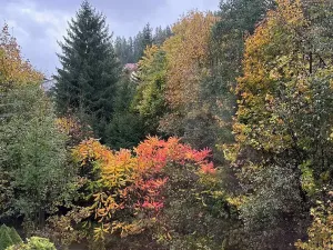 Prodej rodinného domu, Horní Bečva, 104 m2