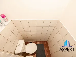Pronájem bytu 2+1, Praha - Vinohrady, Jana Masaryka, 60 m2