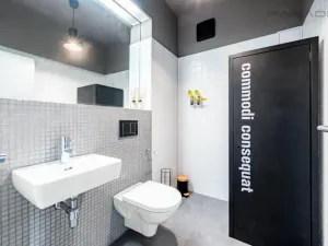 Pronájem bytu 3+kk, Praha - Holešovice, Na Maninách, 146 m2
