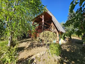 Prodej chaty, Moravská Třebová - Boršov, 50 m2