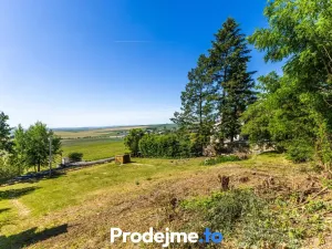 Prodej pozemku pro bydlení, Viničné Šumice, 7165 m2