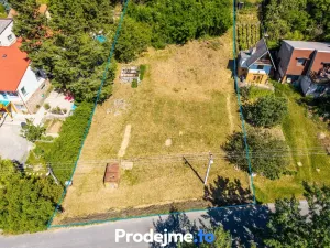 Prodej pozemku pro bydlení, Viničné Šumice, 7165 m2