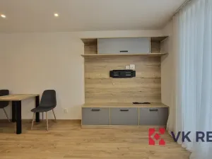Pronájem bytu 1+kk, Plzeň - Jižní Předměstí, Raisova, 27 m2