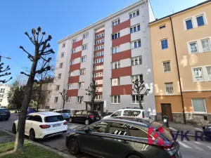 Pronájem bytu 1+kk, Plzeň - Jižní Předměstí, Raisova, 27 m2