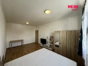 Pronájem bytu 1+1, Strakonice - Strakonice II, Holečkova, 37 m2