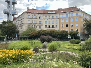 Pronájem bytu 2+1, Praha - Žižkov, Blodkova, 63 m2