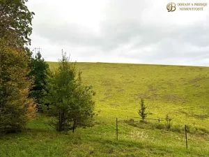Prodej louky, Dlouhomilov, 7512 m2