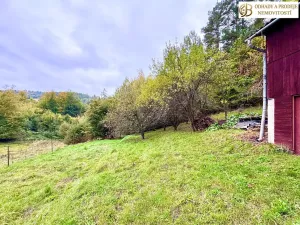Prodej louky, Dlouhomilov, 7512 m2