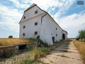 Prodej zemědělské usedlosti, Vlasatice, 5889 m2