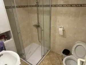 Prodej ubytování, Krásná Lípa, Lesní, 250 m2