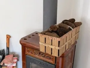Prodej ubytování, Krásná Lípa, Lesní, 250 m2