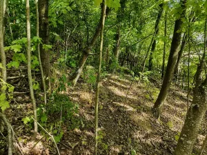 Prodej pozemku pro bydlení, Lom, Tyršova stezka, 888 m2