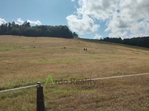 Prodej pozemku, Hořice na Šumavě - Mýto, 2722 m2