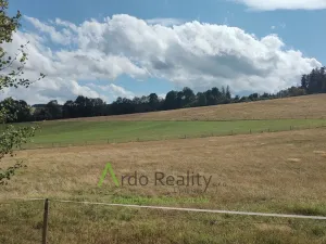 Prodej pozemku, Hořice na Šumavě - Mýto, 2722 m2