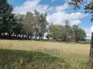 Prodej pozemku, Hořice na Šumavě - Mýto, 2722 m2