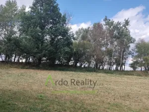 Prodej pozemku, Hořice na Šumavě - Mýto, 2722 m2