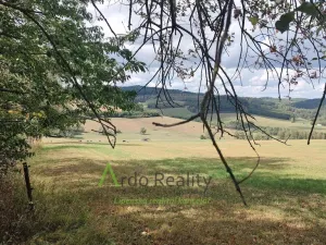 Prodej pozemku, Hořice na Šumavě - Mýto, 2722 m2