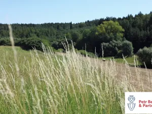 Prodej zemědělské usedlosti, Hřebečníky, 97 m2