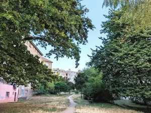 Pronájem bytu 3+kk, Praha - Vršovice, Bělocerkevská, 80 m2